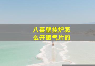 八喜壁挂炉怎么开暖气片的