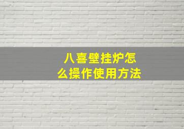 八喜壁挂炉怎么操作使用方法