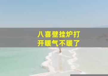 八喜壁挂炉打开暖气不暖了