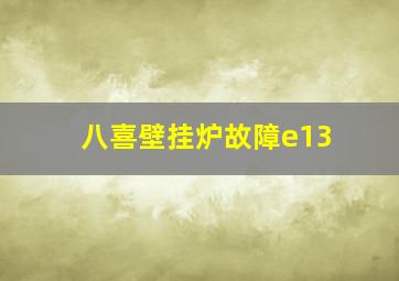 八喜壁挂炉故障e13