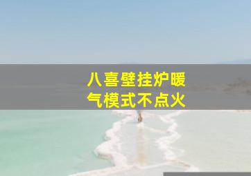 八喜壁挂炉暖气模式不点火