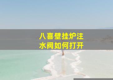 八喜壁挂炉注水阀如何打开