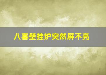 八喜壁挂炉突然屏不亮