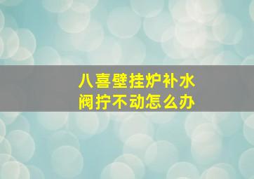 八喜壁挂炉补水阀拧不动怎么办