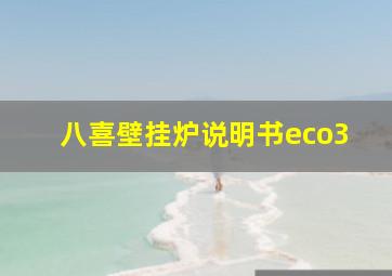 八喜壁挂炉说明书eco3