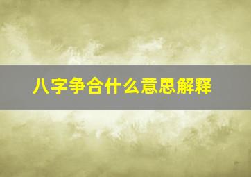 八字争合什么意思解释