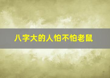 八字大的人怕不怕老鼠