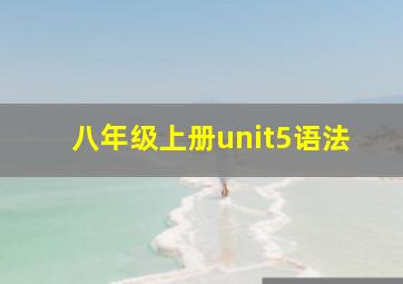 八年级上册unit5语法