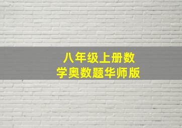 八年级上册数学奥数题华师版