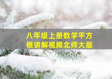 八年级上册数学平方根讲解视频北师大版