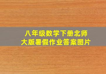 八年级数学下册北师大版暑假作业答案图片