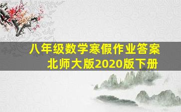 八年级数学寒假作业答案北师大版2020版下册