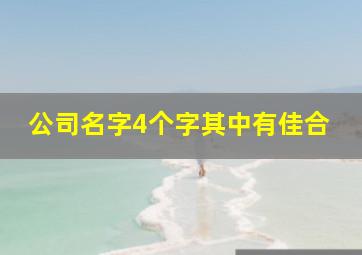 公司名字4个字其中有佳合