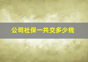 公司社保一共交多少钱