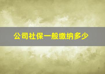 公司社保一般缴纳多少