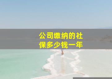 公司缴纳的社保多少钱一年