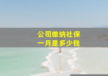 公司缴纳社保一月是多少钱