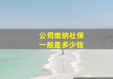 公司缴纳社保一般是多少钱