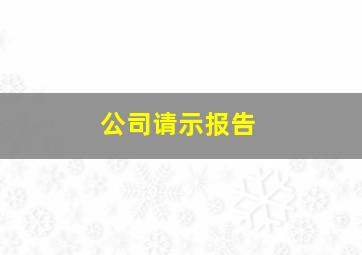 公司请示报告