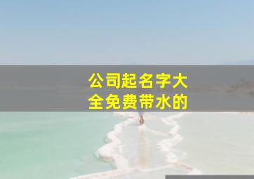 公司起名字大全免费带水的