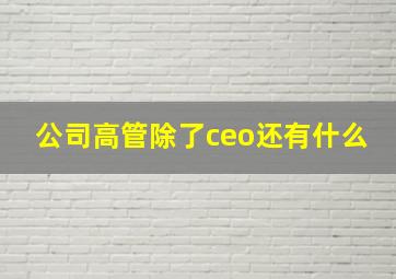 公司高管除了ceo还有什么