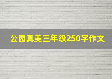 公园真美三年级250字作文