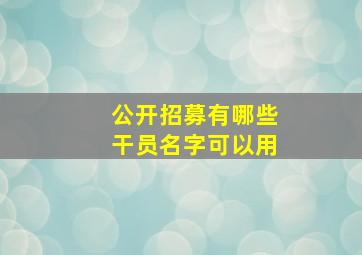 公开招募有哪些干员名字可以用