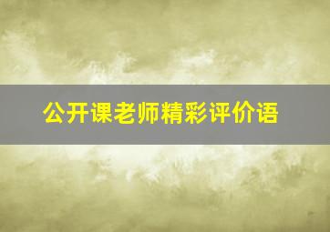 公开课老师精彩评价语