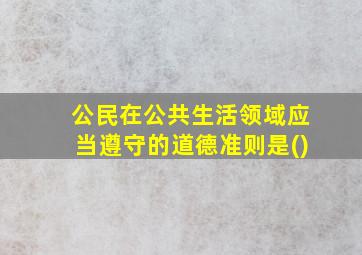 公民在公共生活领域应当遵守的道德准则是()