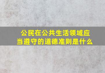 公民在公共生活领域应当遵守的道德准则是什么