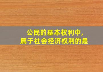 公民的基本权利中,属于社会经济权利的是