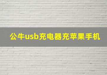 公牛usb充电器充苹果手机