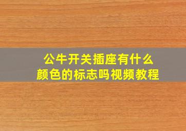 公牛开关插座有什么颜色的标志吗视频教程