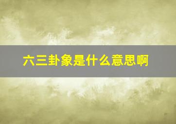 六三卦象是什么意思啊