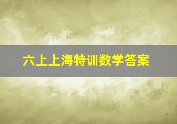 六上上海特训数学答案