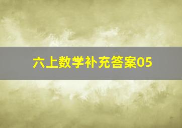 六上数学补充答案05