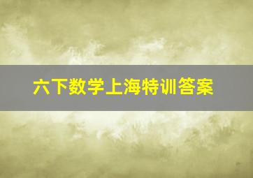 六下数学上海特训答案