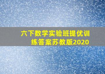 六下数学实验班提优训练答案苏教版2020