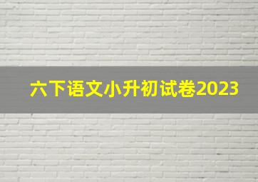 六下语文小升初试卷2023