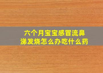 六个月宝宝感冒流鼻涕发烧怎么办吃什么药