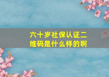 六十岁社保认证二维码是什么样的啊