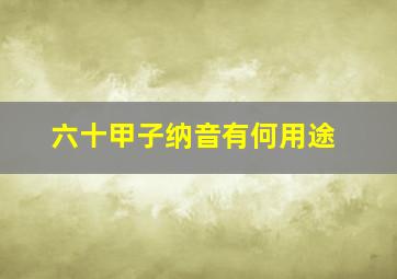 六十甲子纳音有何用途