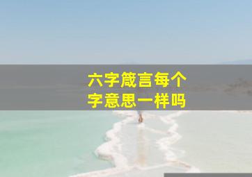 六字箴言每个字意思一样吗