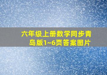 六年级上册数学同步青岛版1~6页答案图片