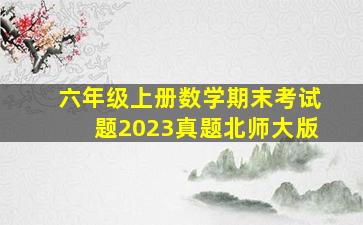 六年级上册数学期末考试题2023真题北师大版