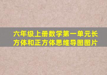 六年级上册数学第一单元长方体和正方体思维导图图片