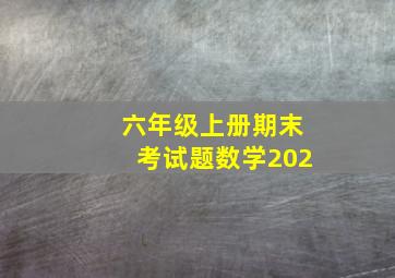 六年级上册期末考试题数学202