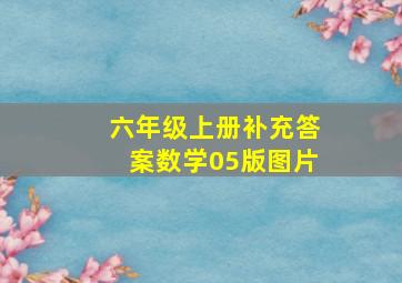 六年级上册补充答案数学05版图片