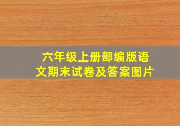 六年级上册部编版语文期末试卷及答案图片