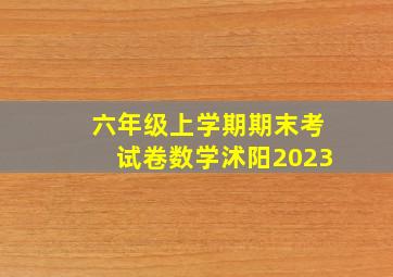 六年级上学期期末考试卷数学沭阳2023